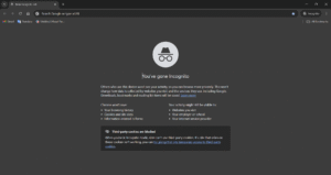Read more about the article Mengenal Incognito Window Bersama Wireka Teknologi: Penjelasan dan Manfaat Singkatnya